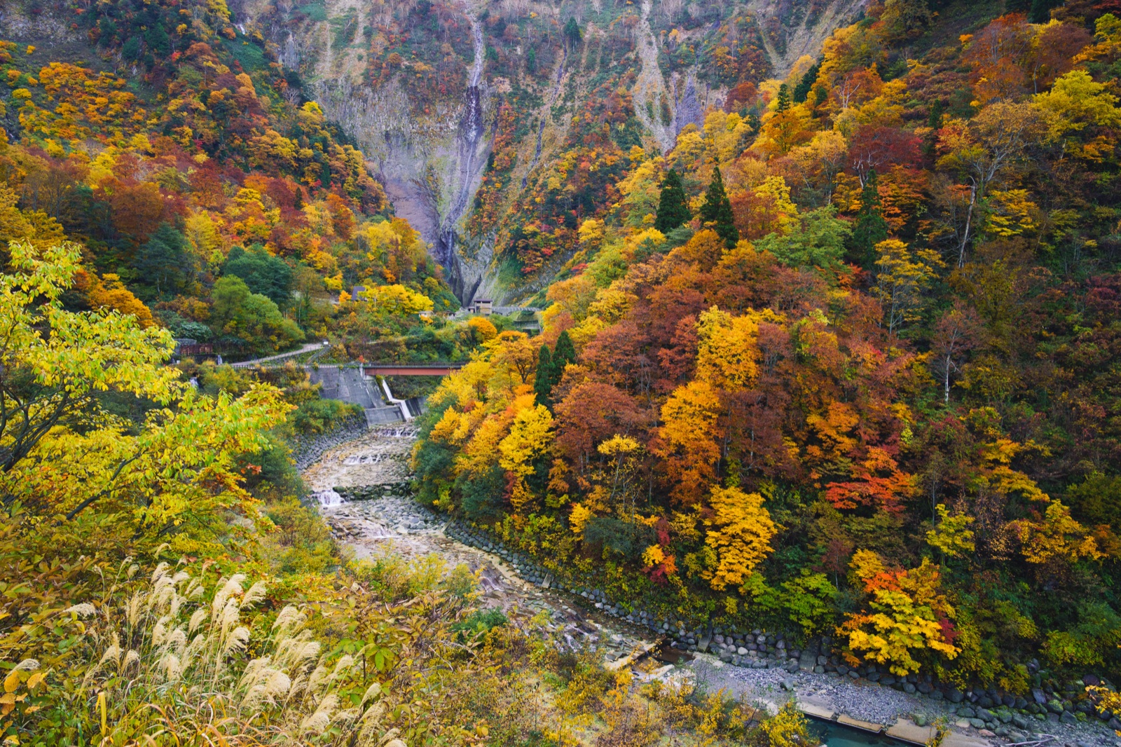 稱名溪谷的靜謐時刻（富山県）