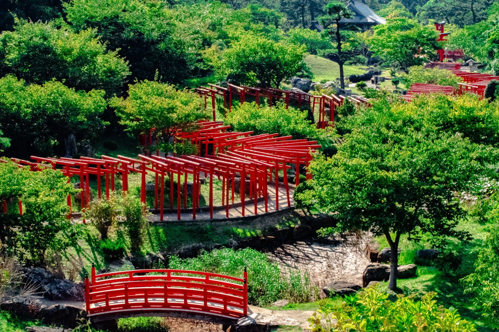 朱色鳥居與林間綠意——青森高山稲荷的千本門（青森県）
