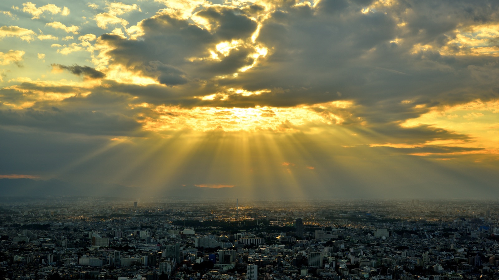 東京都廳展望室的夕陽 天使的階梯（東京都）