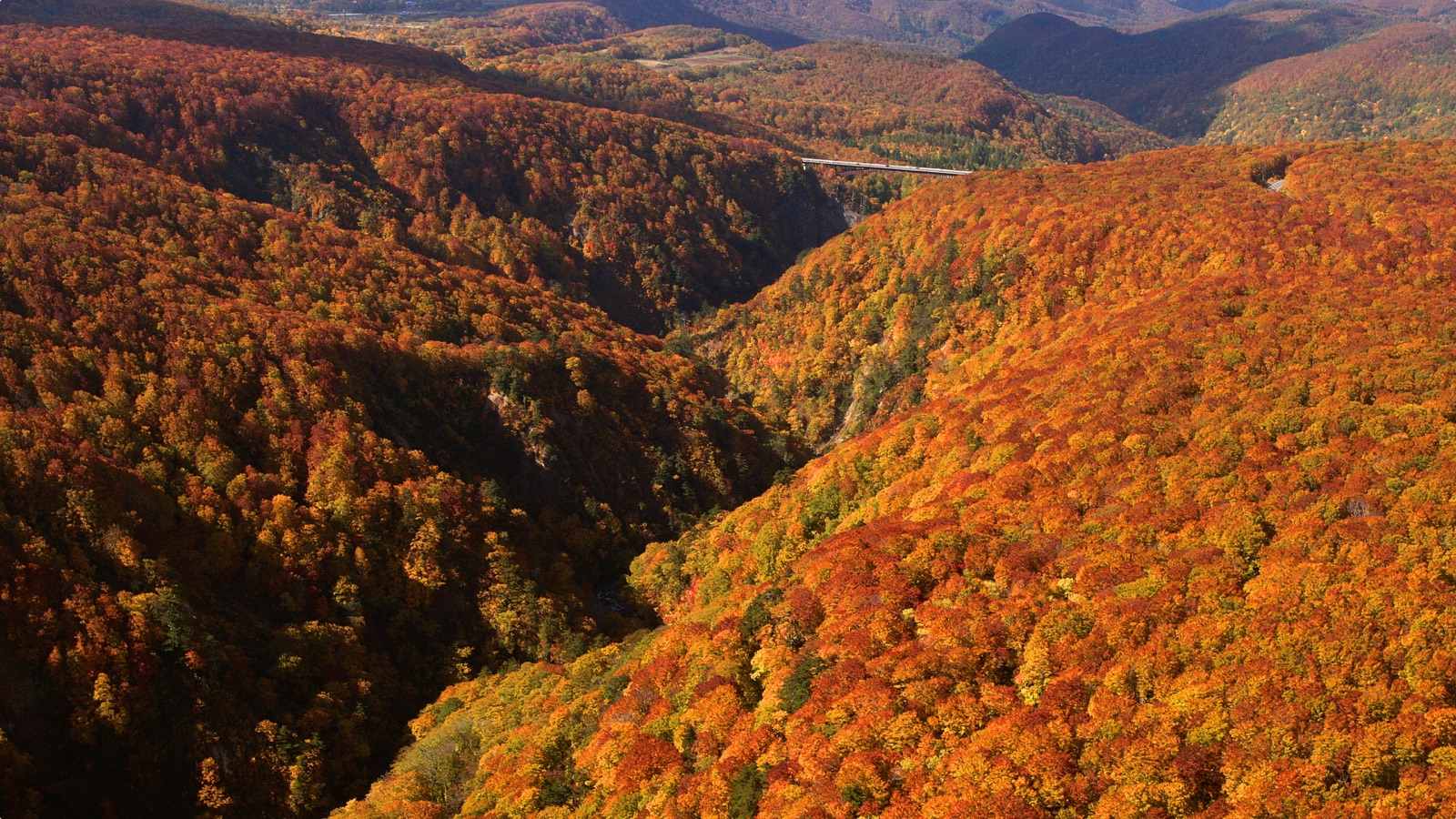 八甲田山的靜謐風貌（青森県）