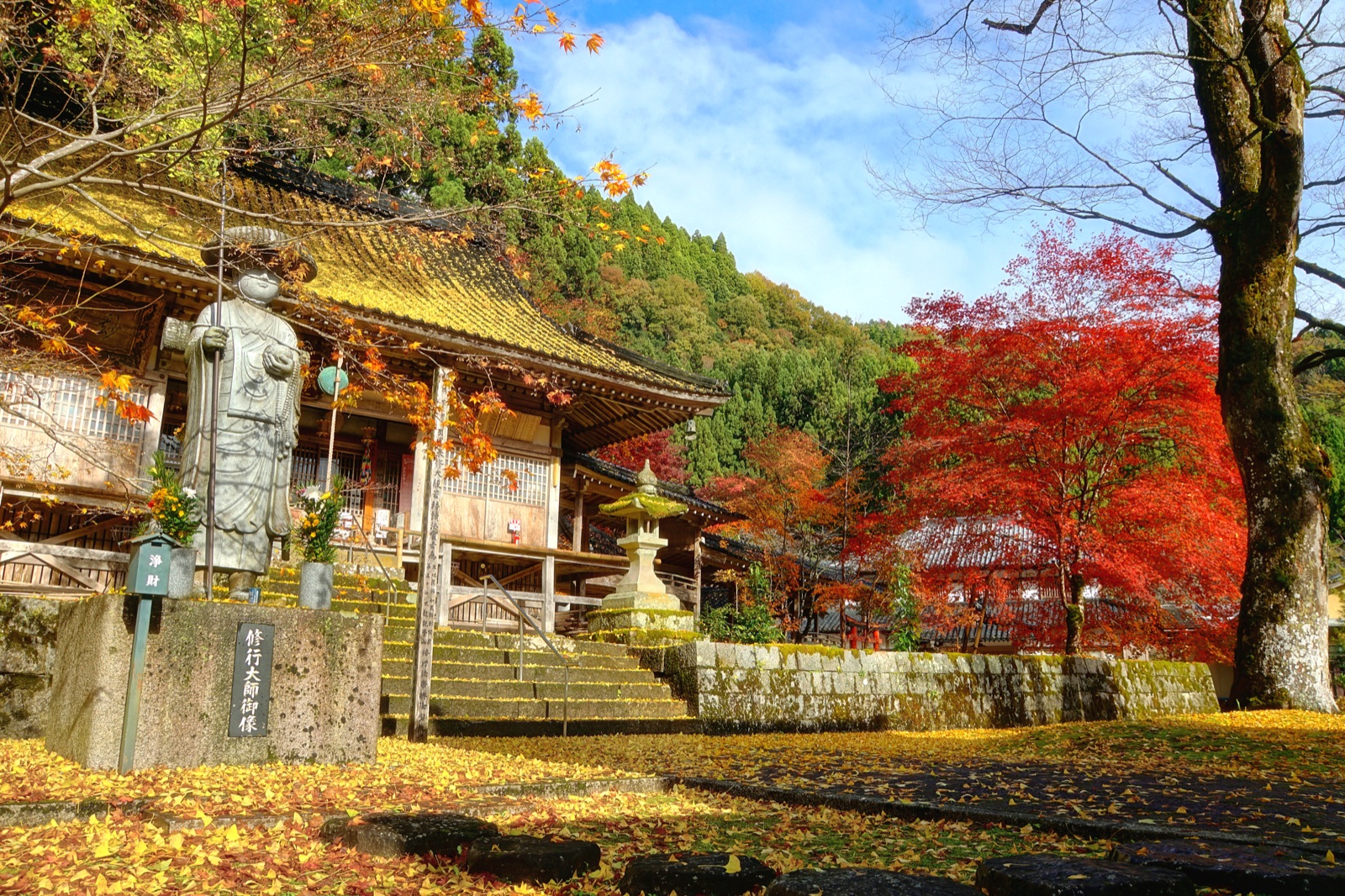 兵庫晚秋時節 日光院的四時遞嬗（兵庫県）