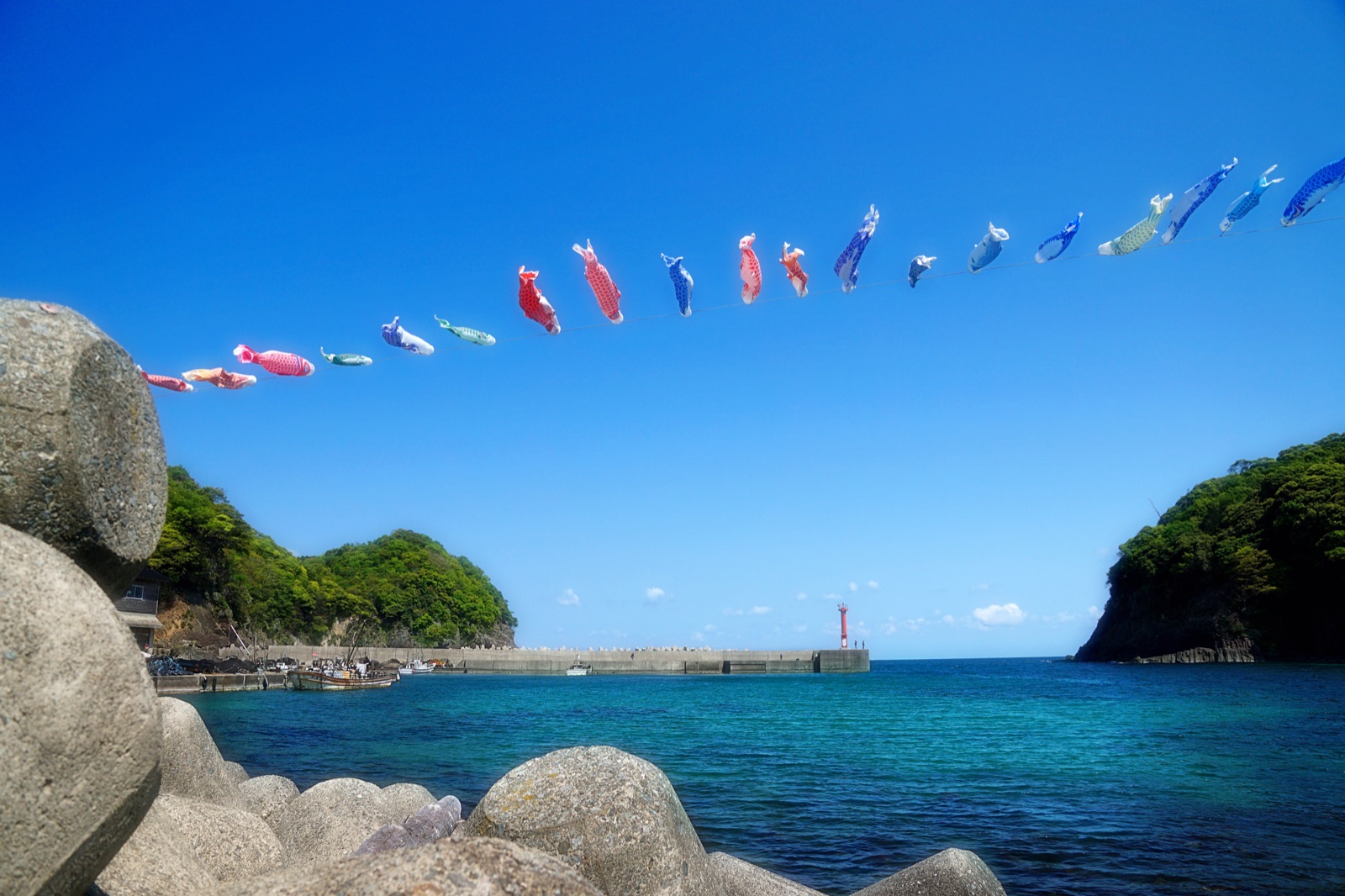 兵庫鎧的鯉魚旗 清風中的游姿（兵庫県）