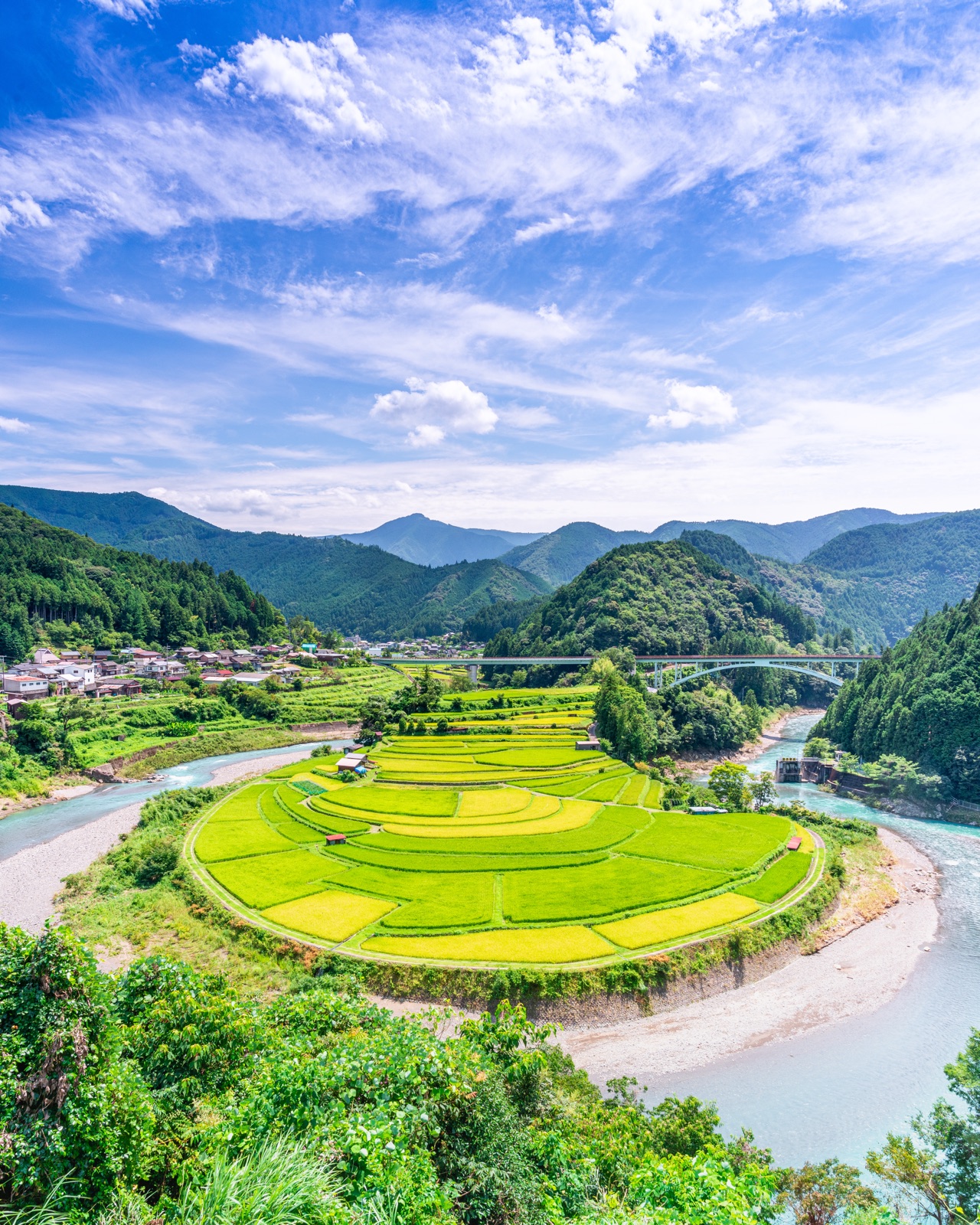 和歌山稻穗拼布：夏末圓形梯田的色彩交響（和歌山県）