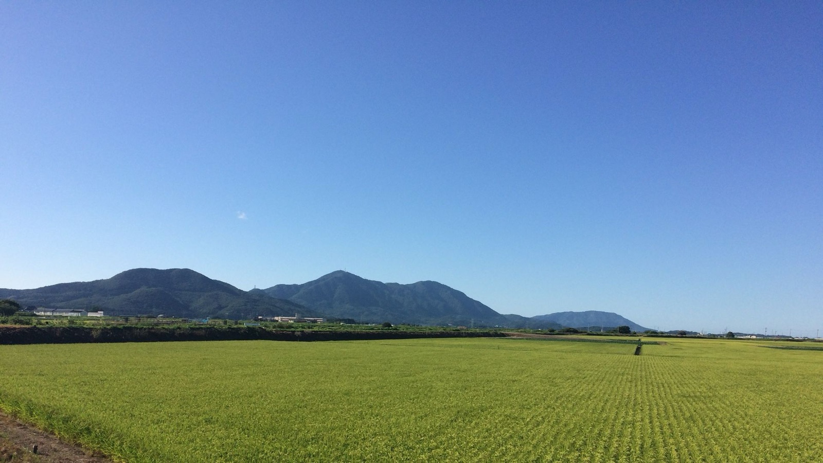 越後平野與彌彥山脈的遼闊風景（新潟県）