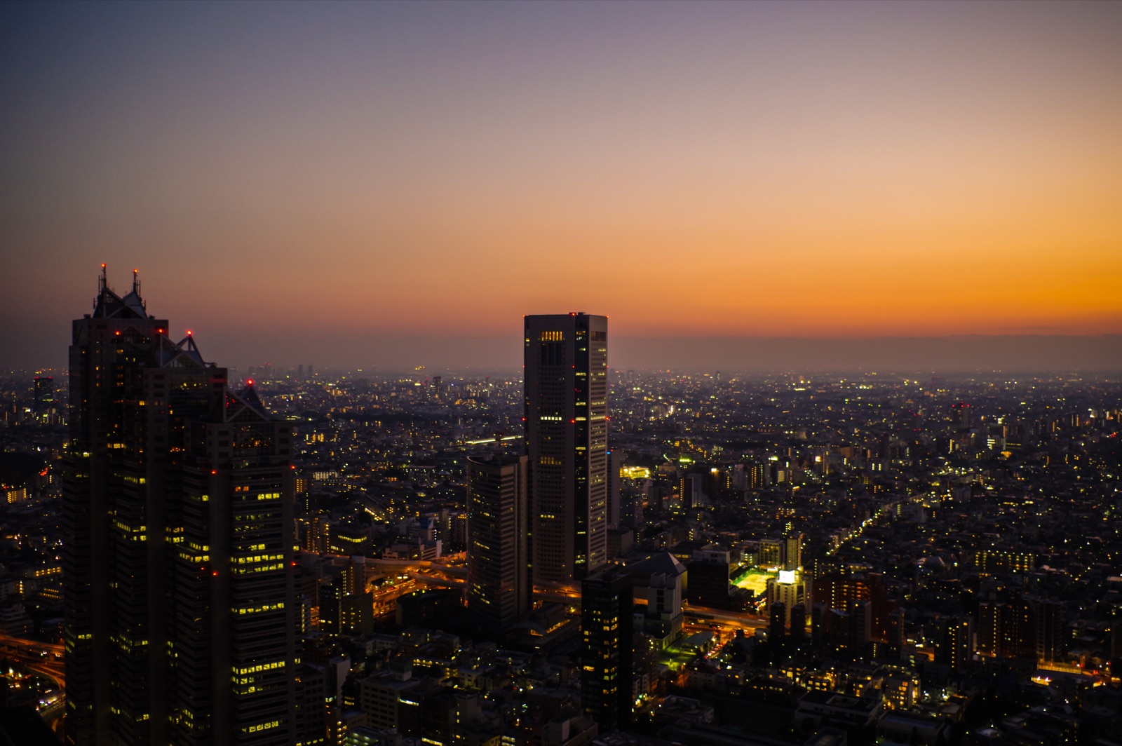 從東京都廳眺望城市景致（東京都）