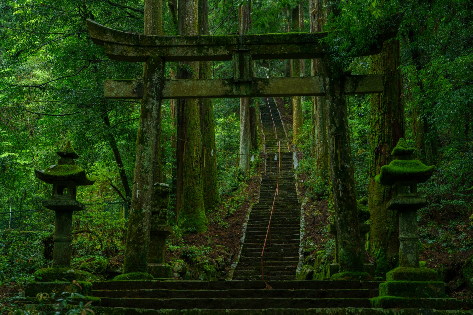 岐阜瀧神社的靜謐時光（岐阜県）