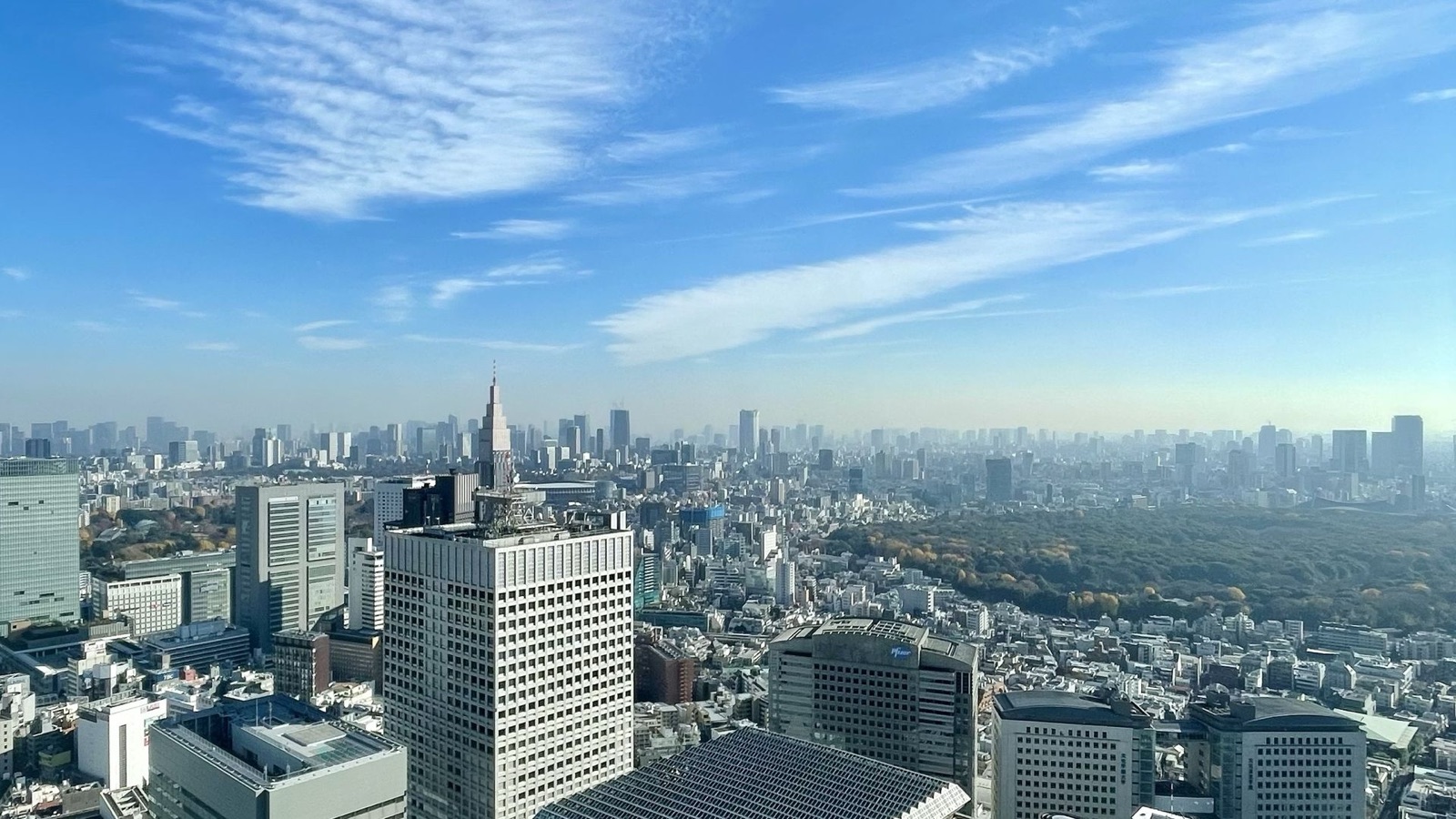 東京都都庁的建築風景（東京都）
