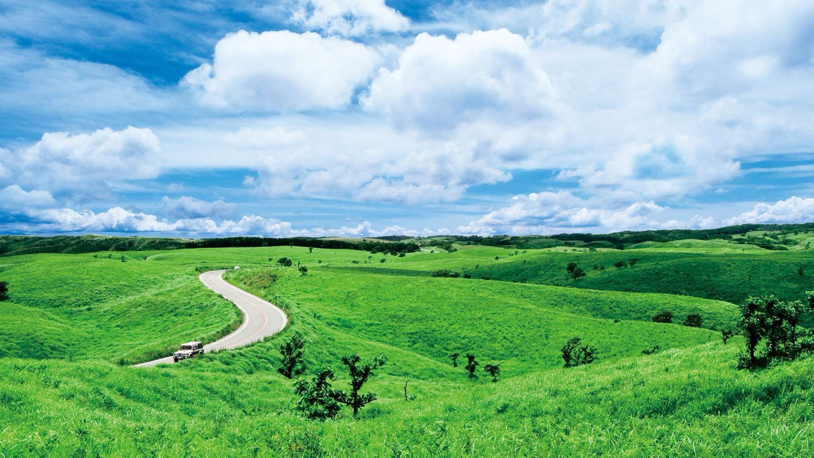 熊本阿蘇牛奶路的風景（熊本県）