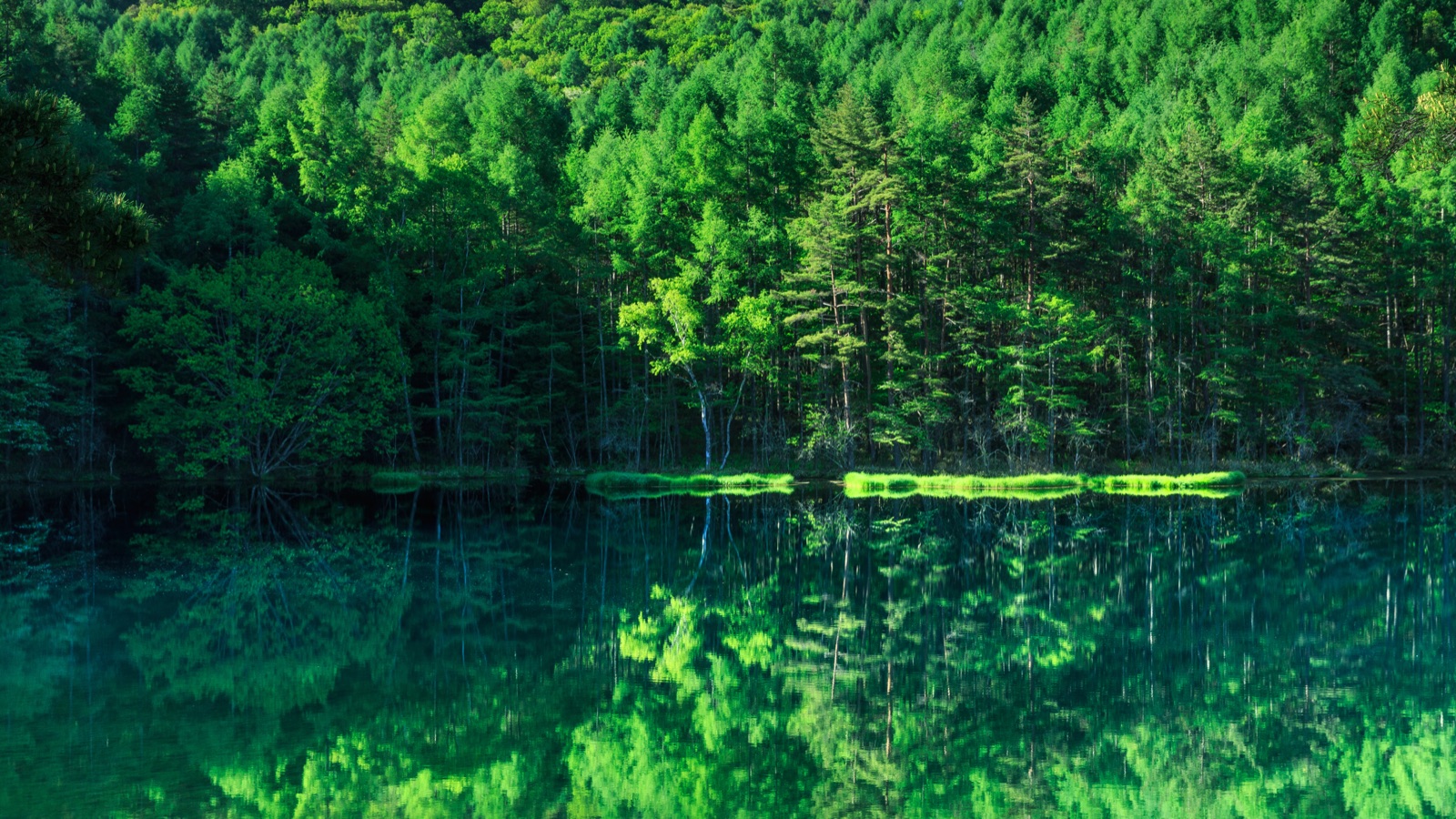 長野御射鹿池 日本畫大師筆下的靜謐水景（長野県）