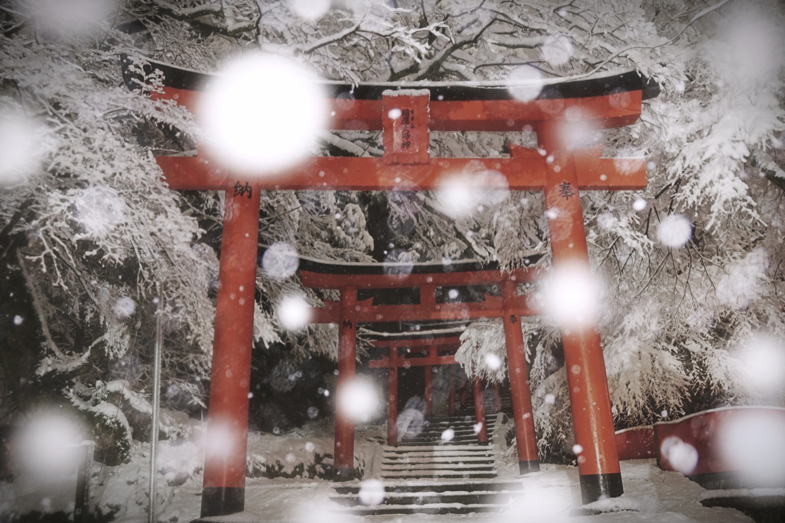 有子山稲荷神社 朱白之間的寧靜（兵庫県）