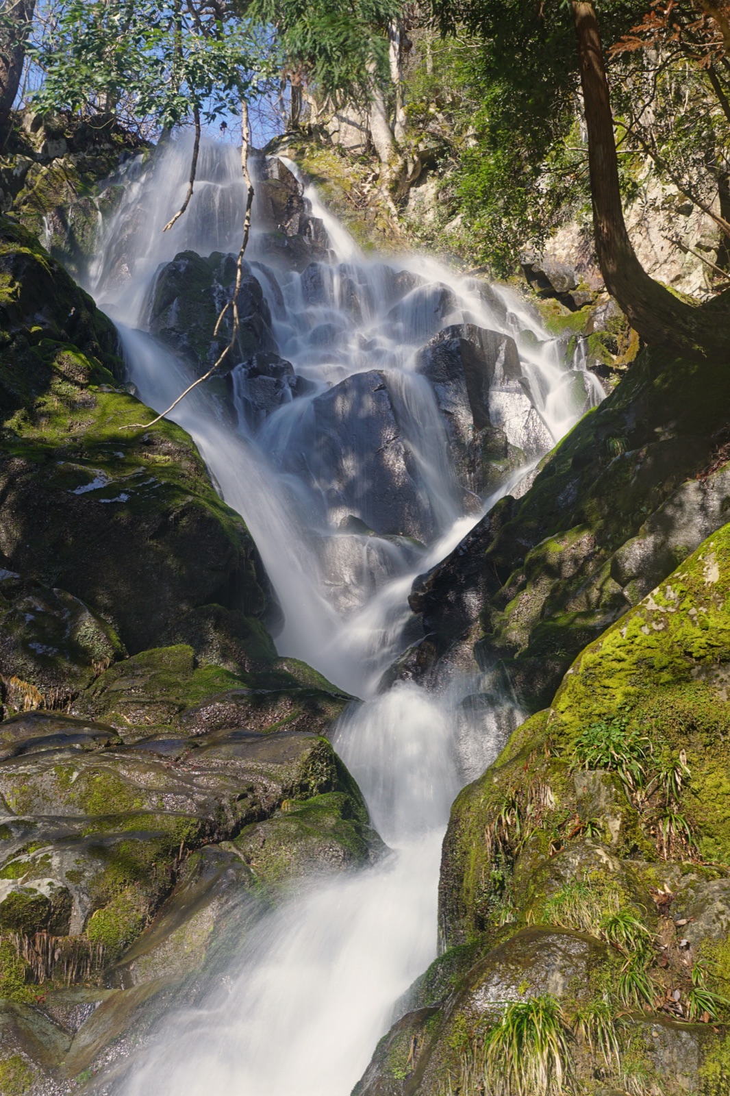 蘇武滝——兵庫山中的隱匿瀑布（兵庫県）