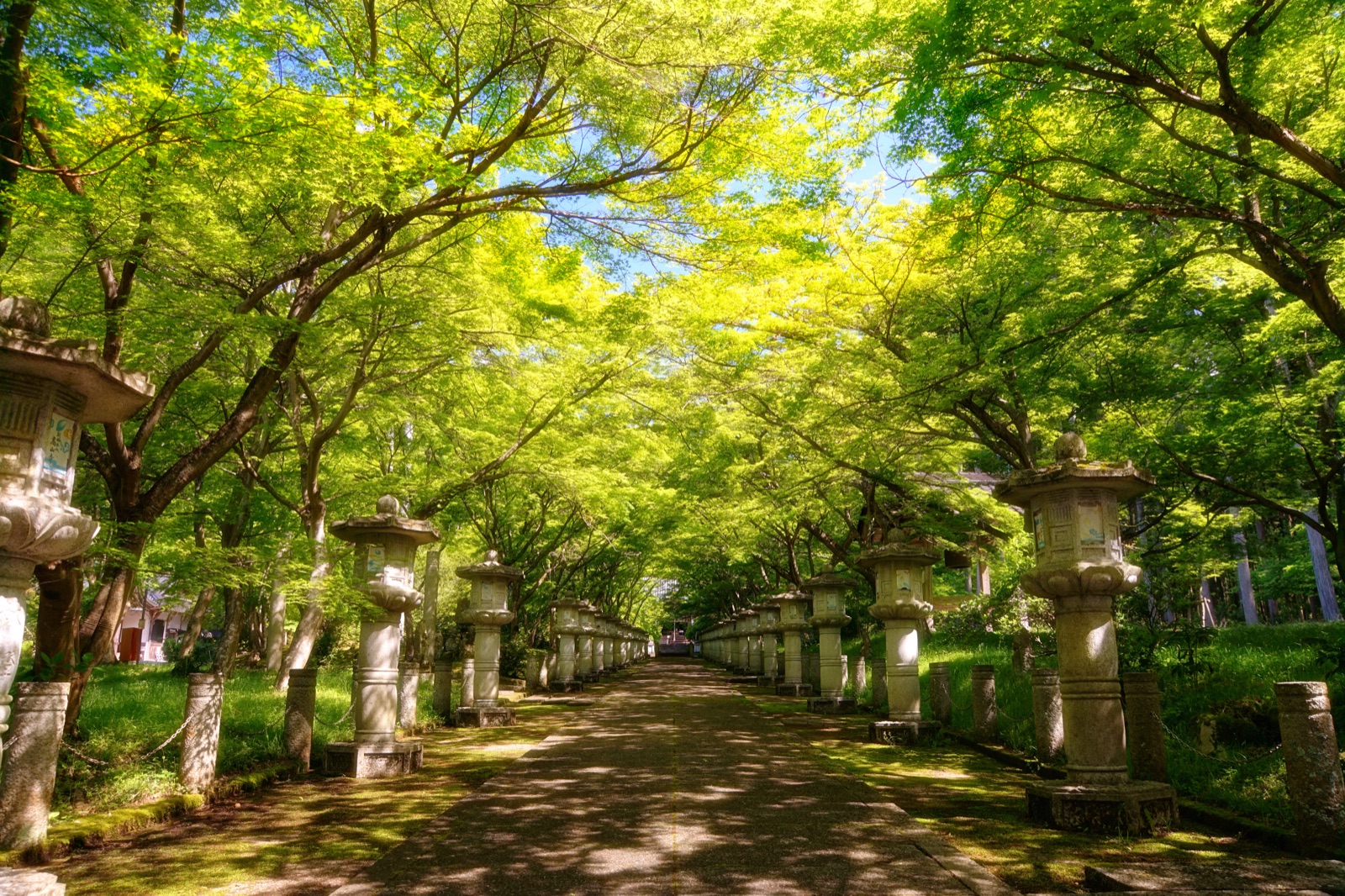 兵庫新綠高山寺 參道漫步的清爽時刻（兵庫県）