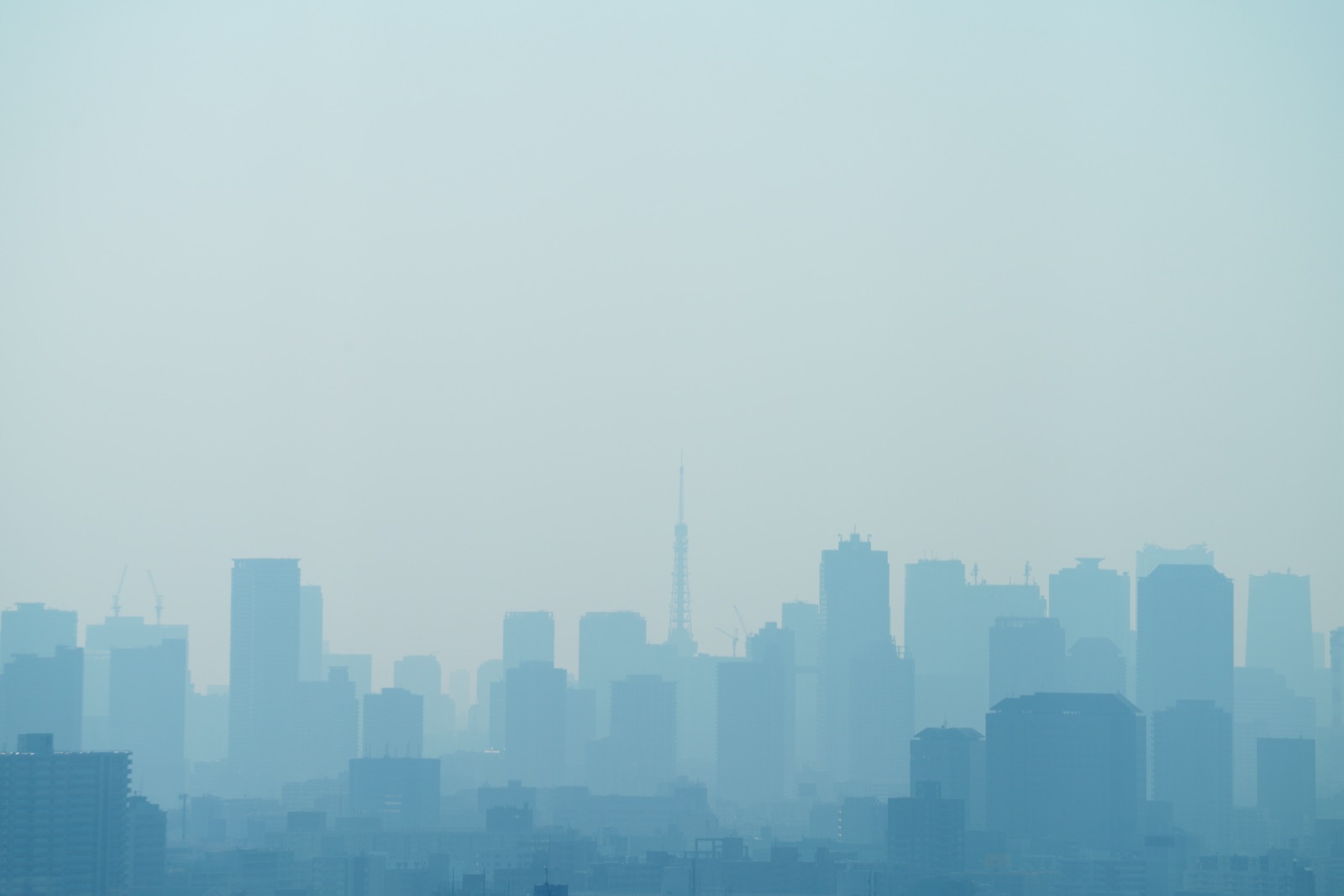 青之世界：東京都的靜謐之境（東京都）