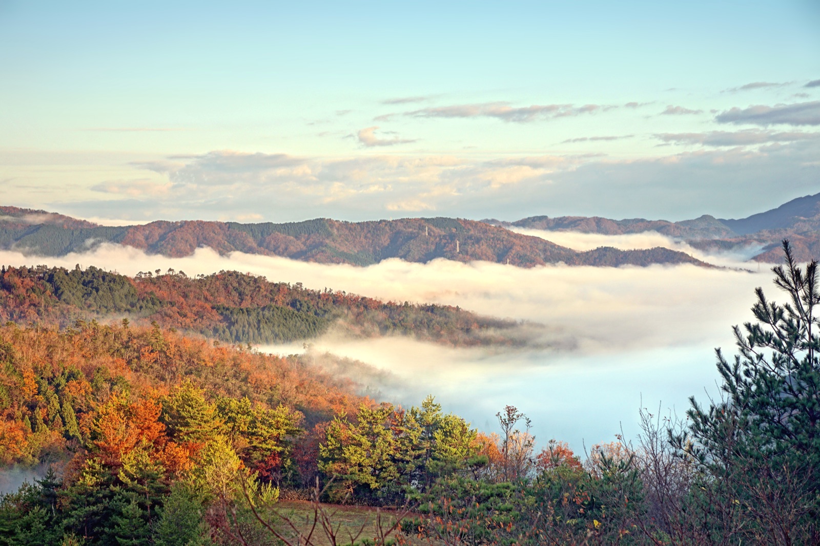 雲海低迴山間　兵庫岩井冬日風景（兵庫県）