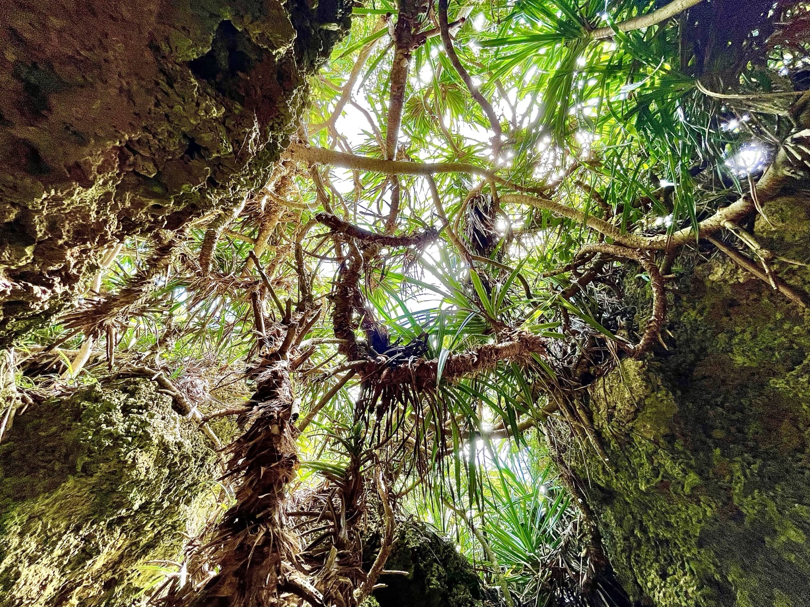 沖繩久米島：穿越暗洞後的生命氣息（沖縄県）
