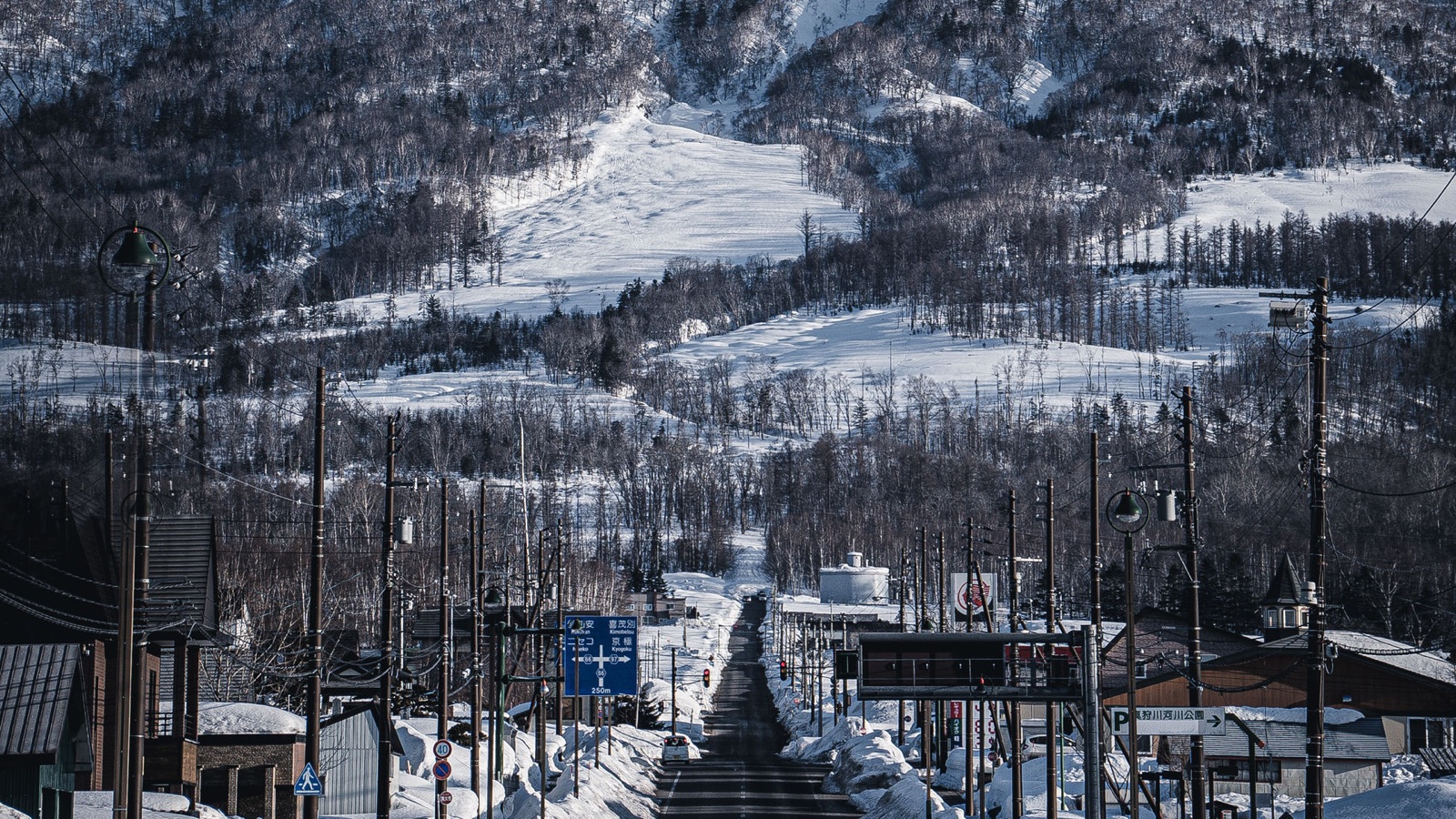 真狩村遠眺 羊蹄山的沉靜身影（北海道）