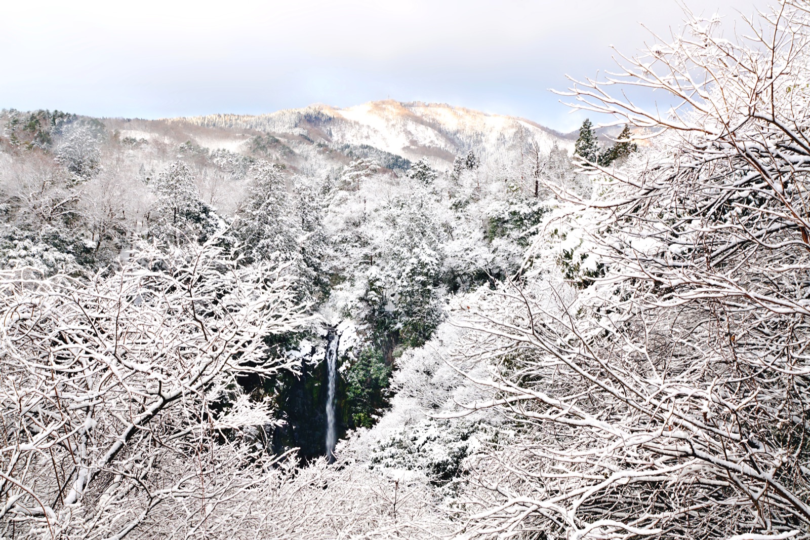 兵庫雪中的八反瀑布——遠景的靜謐（兵庫県）