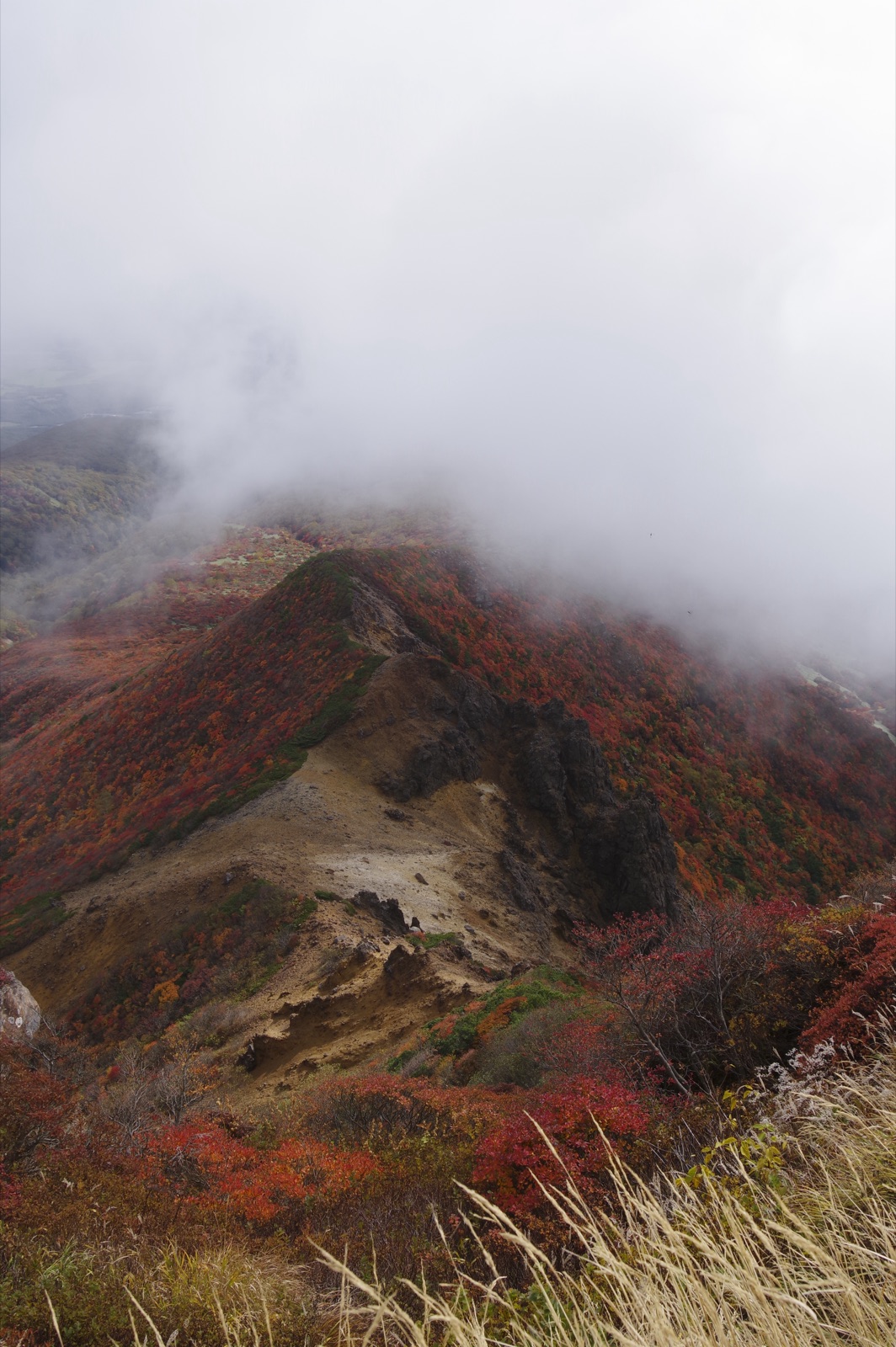 栃木縣朝日嶽的靜謐風景（栃木県）
