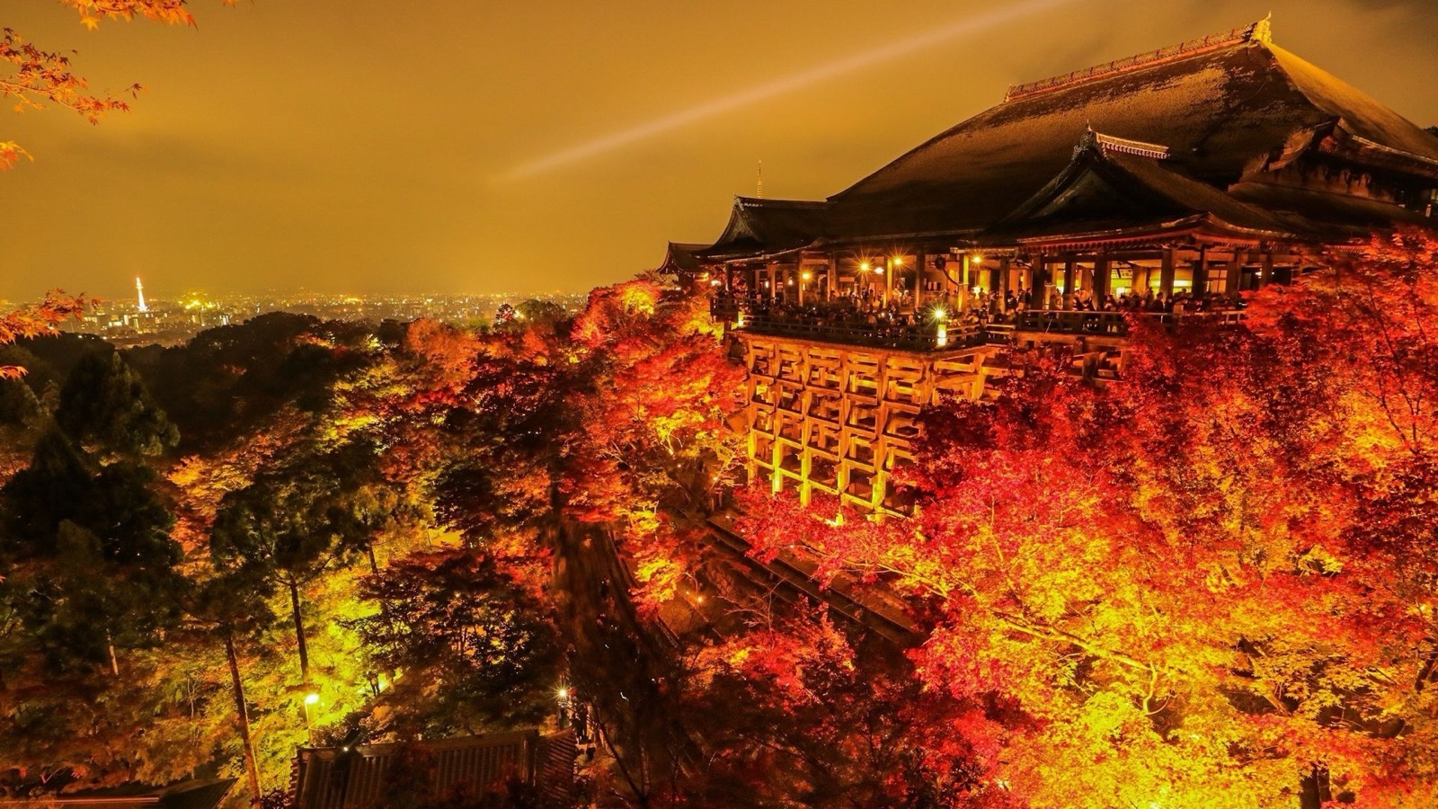 從舞台眺望 清水寺夜楓與燈火的交織（京都府）