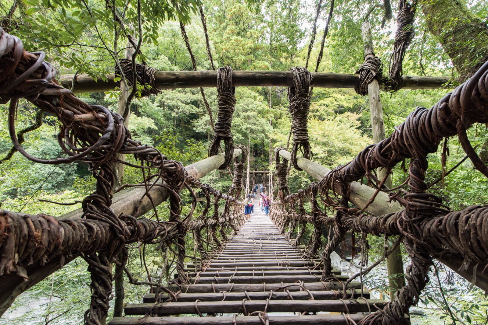 德島祖谷葛藤橋：山谷間的古老通道（徳島県）