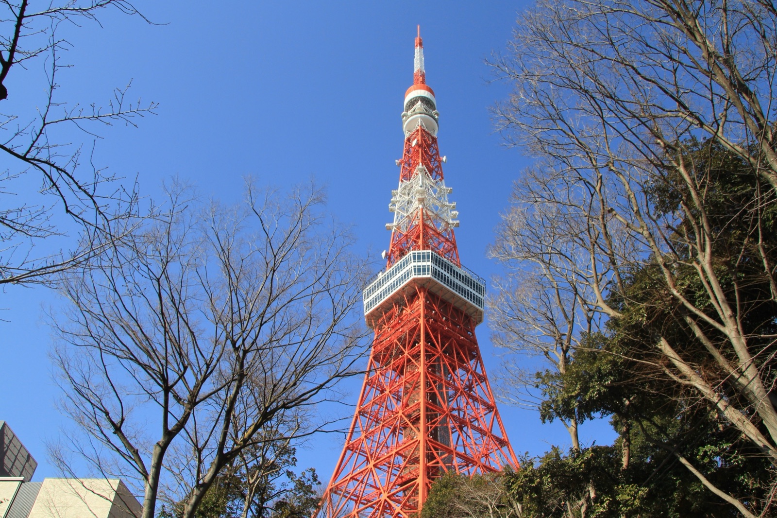 近距離邂逅　芝公園內的東京塔風景（東京都）