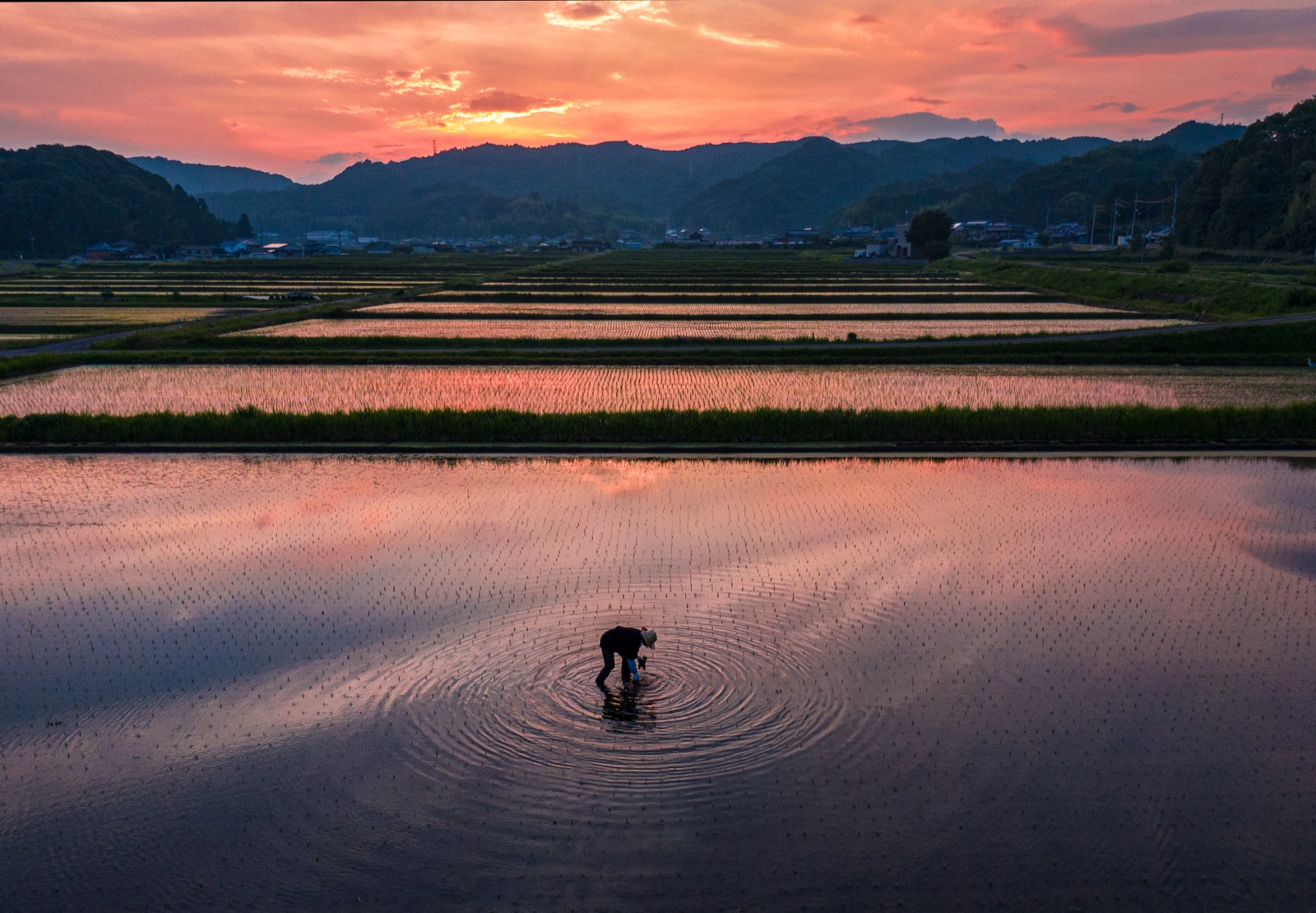 岡山縣赤磐市由津裡地區的水田風景（岡山県）