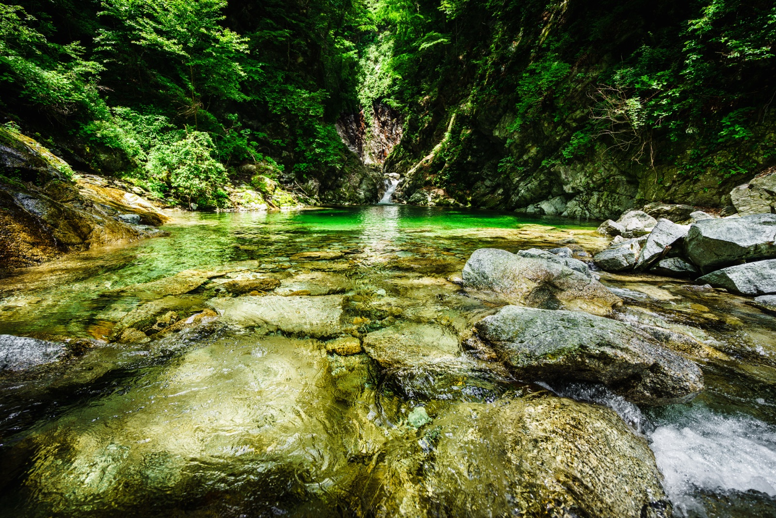 尾白川的清水 山梨靜謐的溪谷時光（山梨県）