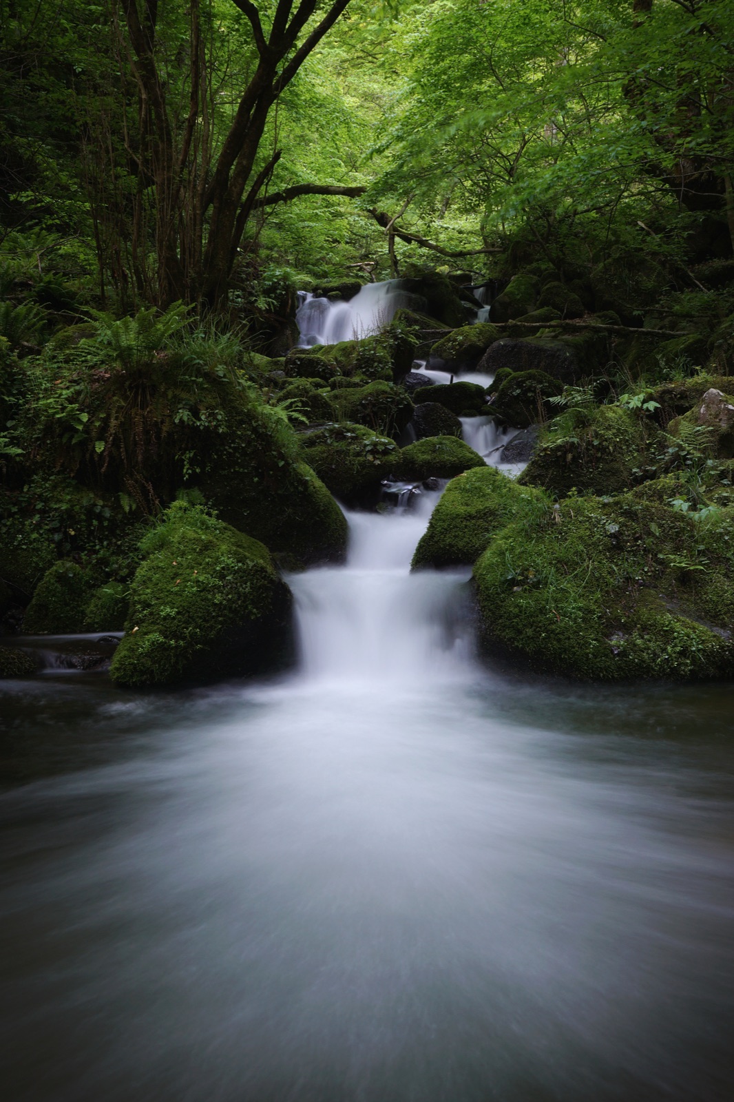 鳥取雨滝溪谷 入口處的靜謐光景（鳥取県）