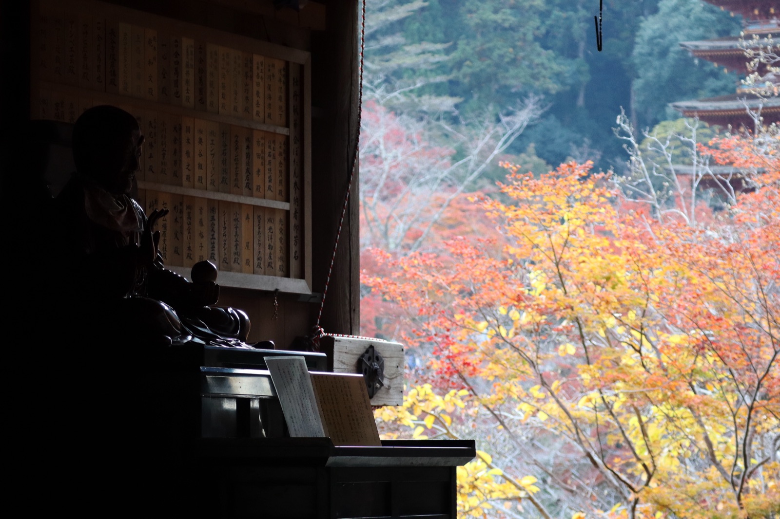 奈良長谷寺的靜謐時光（奈良県）