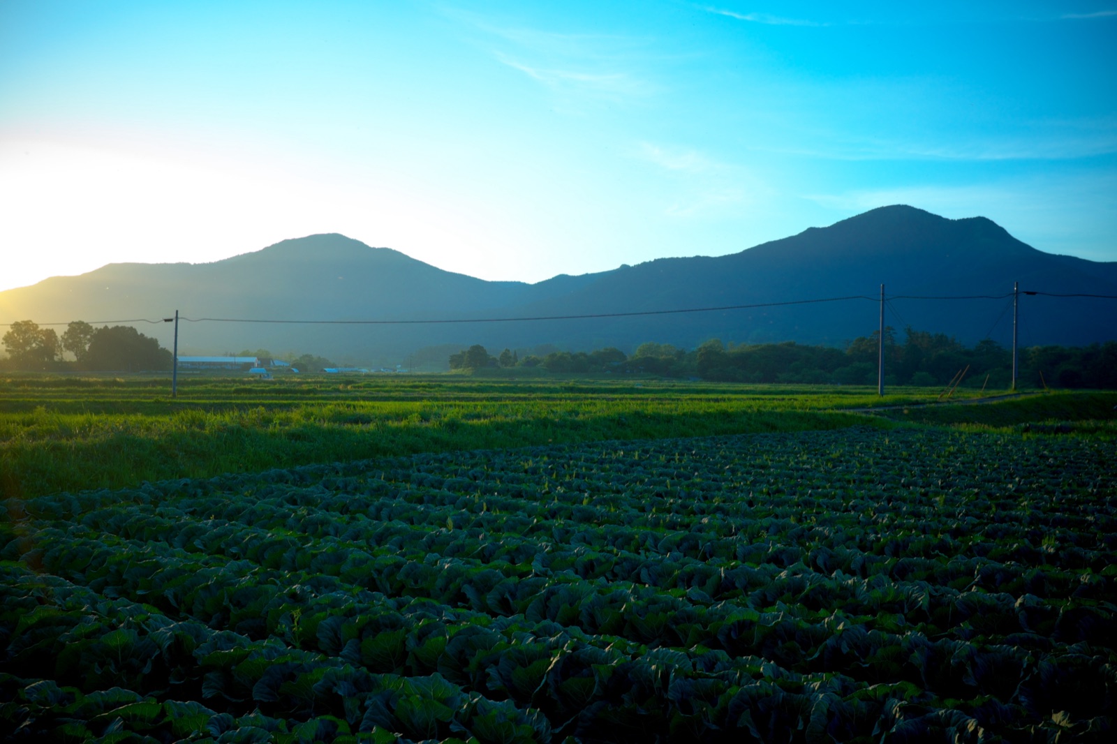 岡山夏日將至 季節轉換的靜謐時刻（岡山県）