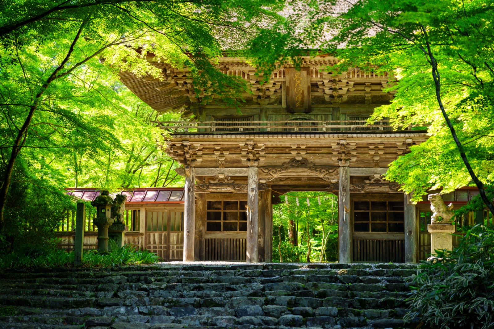 岐阜縣大矢田神社的靜謐時刻（岐阜県）
