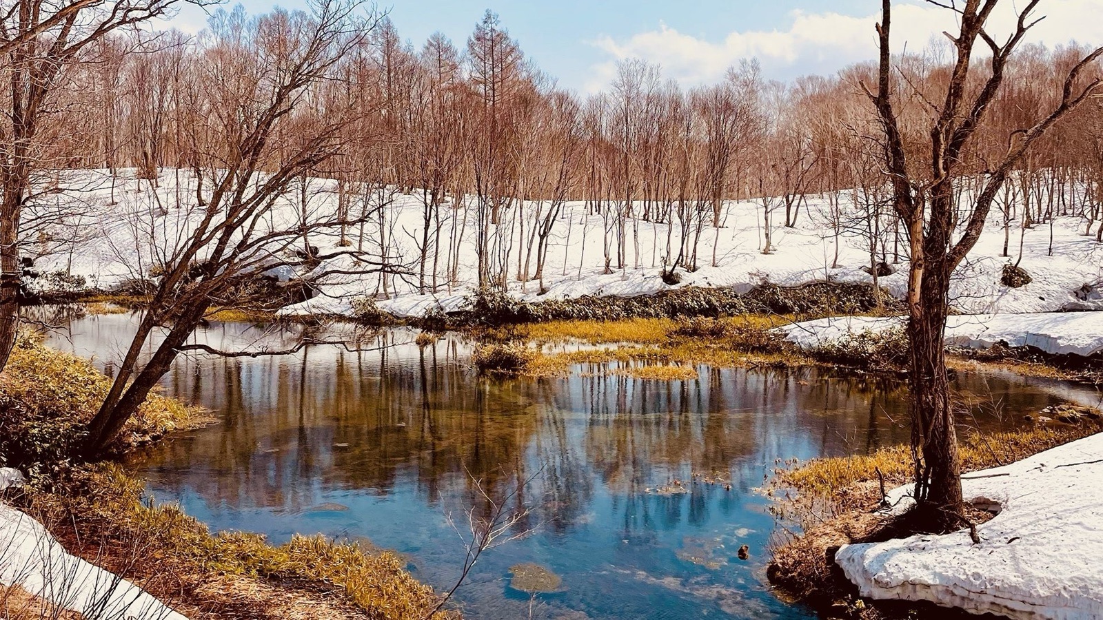 尼塞科的美麗風景（北海道）