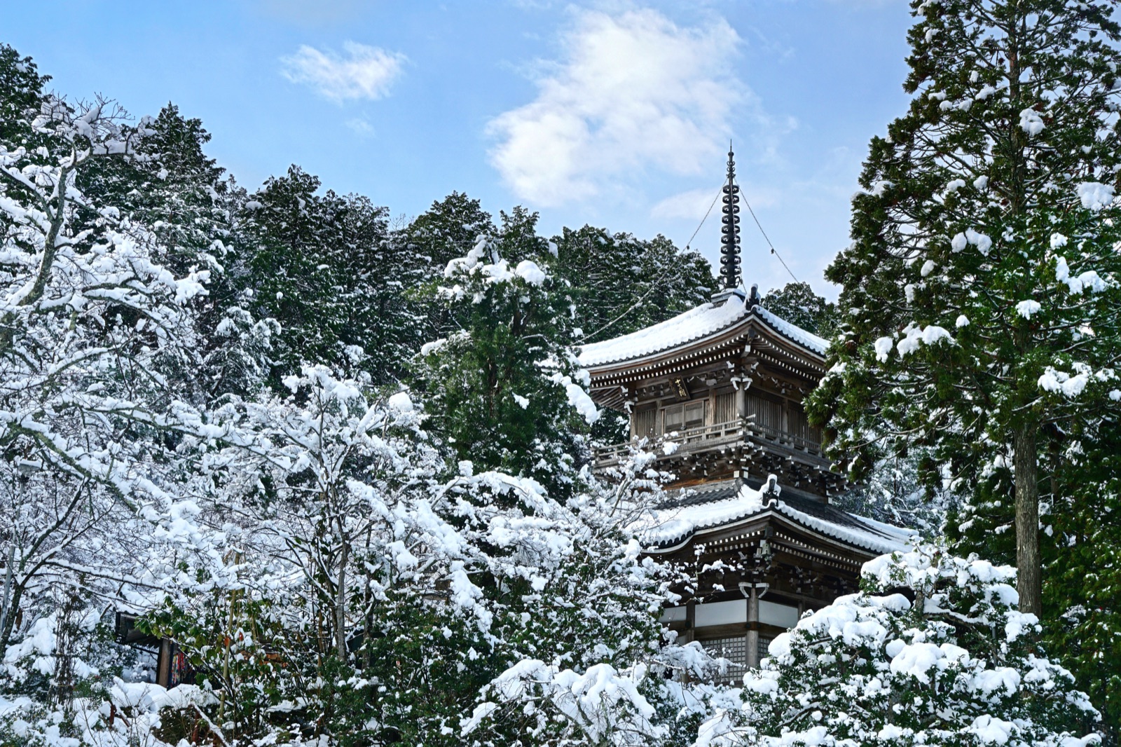 京都如意寺 年末雪後的片刻晴朗（京都府）