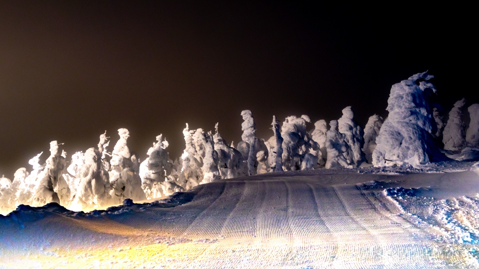 樹冰怪獸的夜間行進——蔵王溫泉滑雪場（山形県）