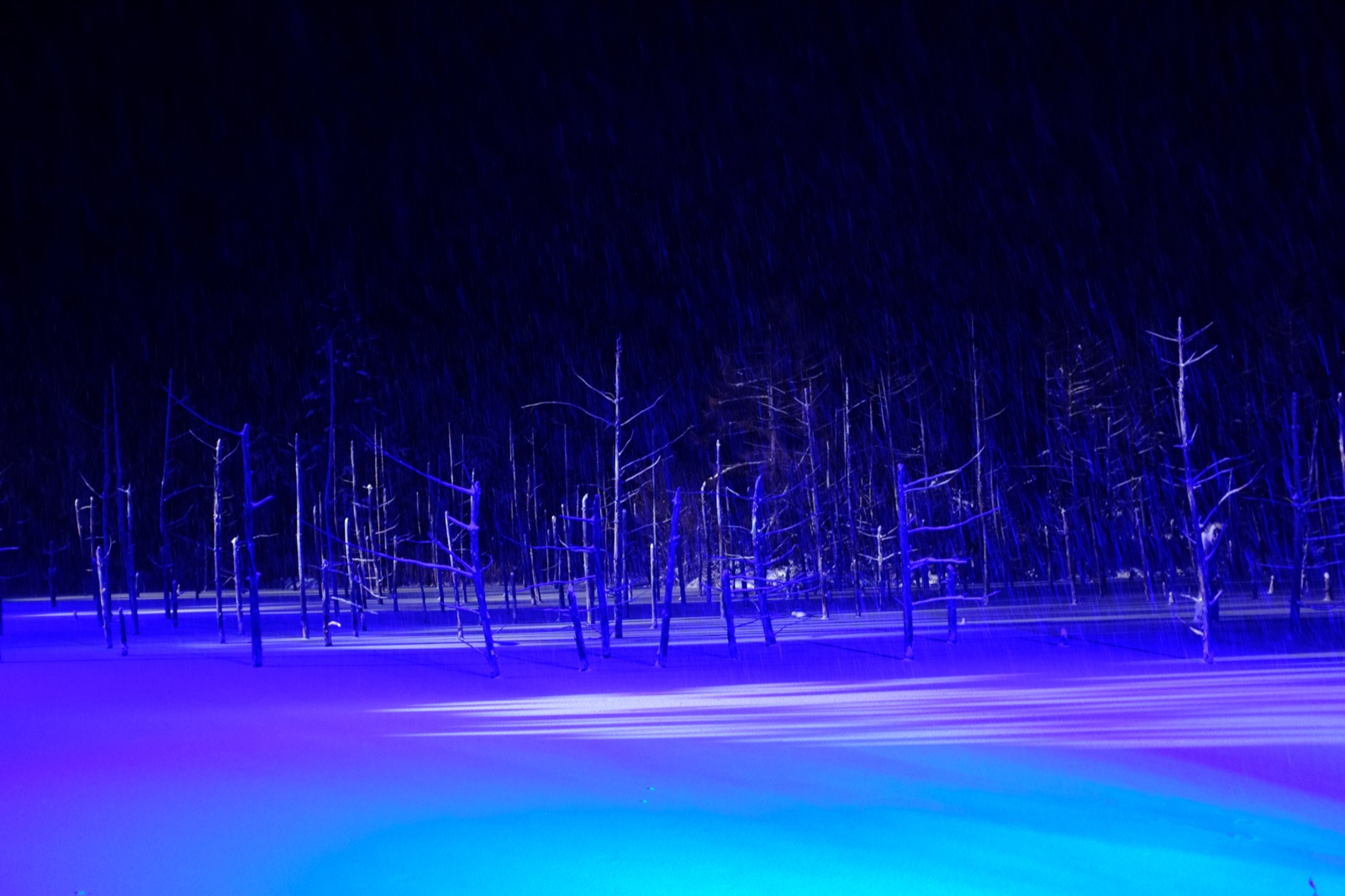 北海道藍色池塘的冰雪世界（北海道）