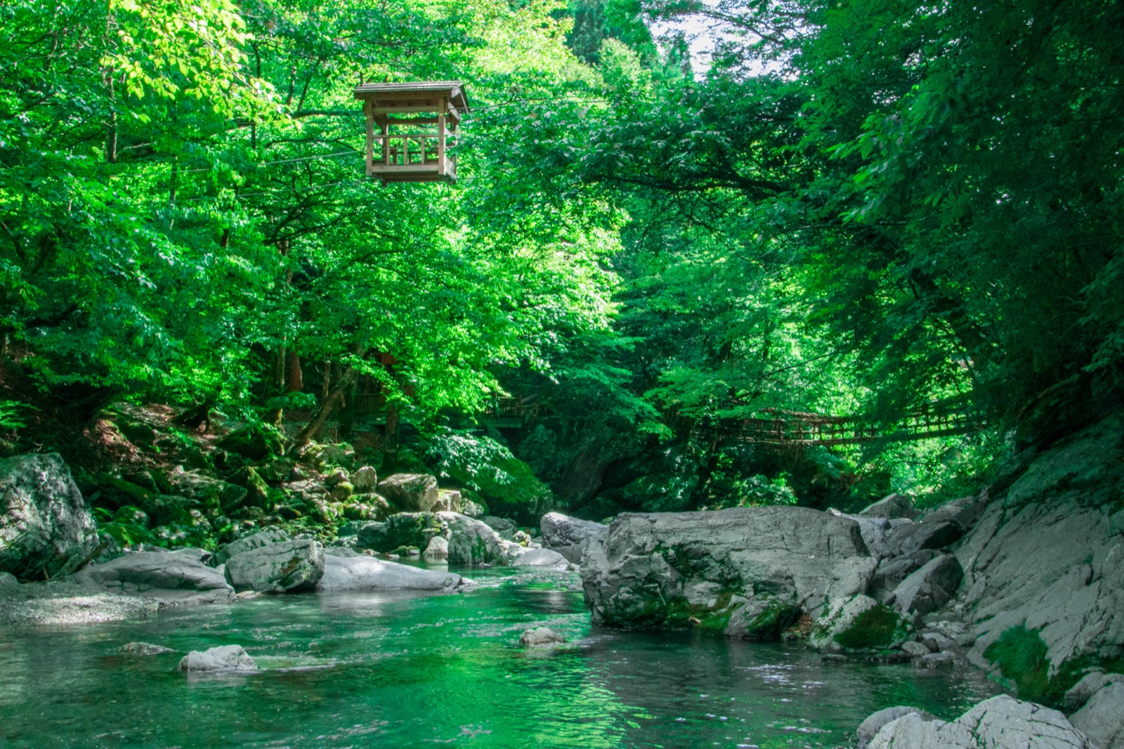 德島祖谷溪的兩座吊橋 在懸空中與山水對話（徳島県）