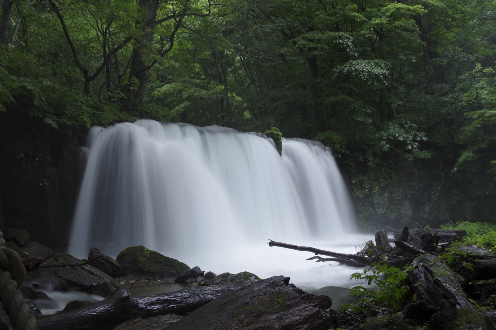 青森奧入瀬溪谷的靜謐風景（青森県）