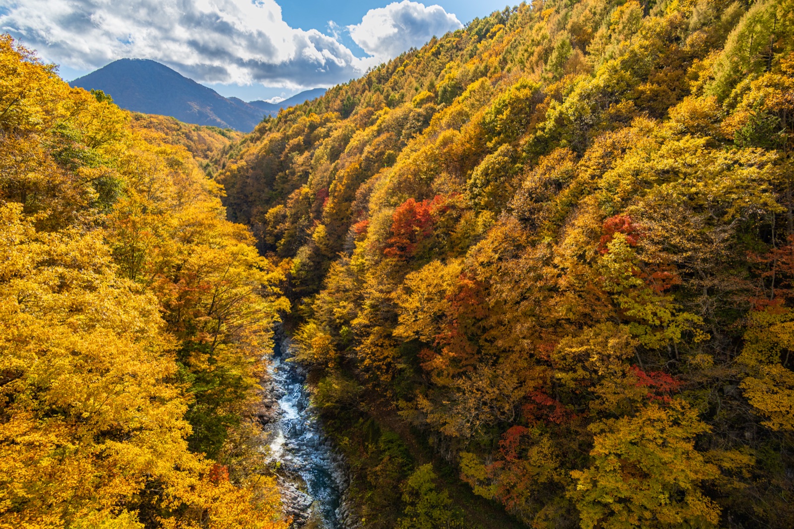 裏磐梯的秋色｜中津川溪谷靜靜燃燒（福島県）