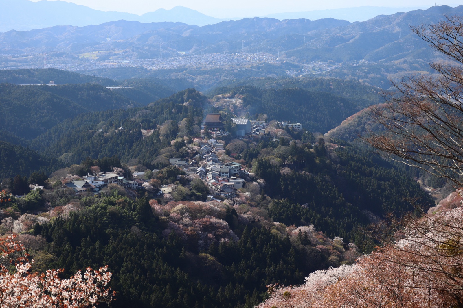 奈良縣吉野山的靜謐風景（奈良県）
