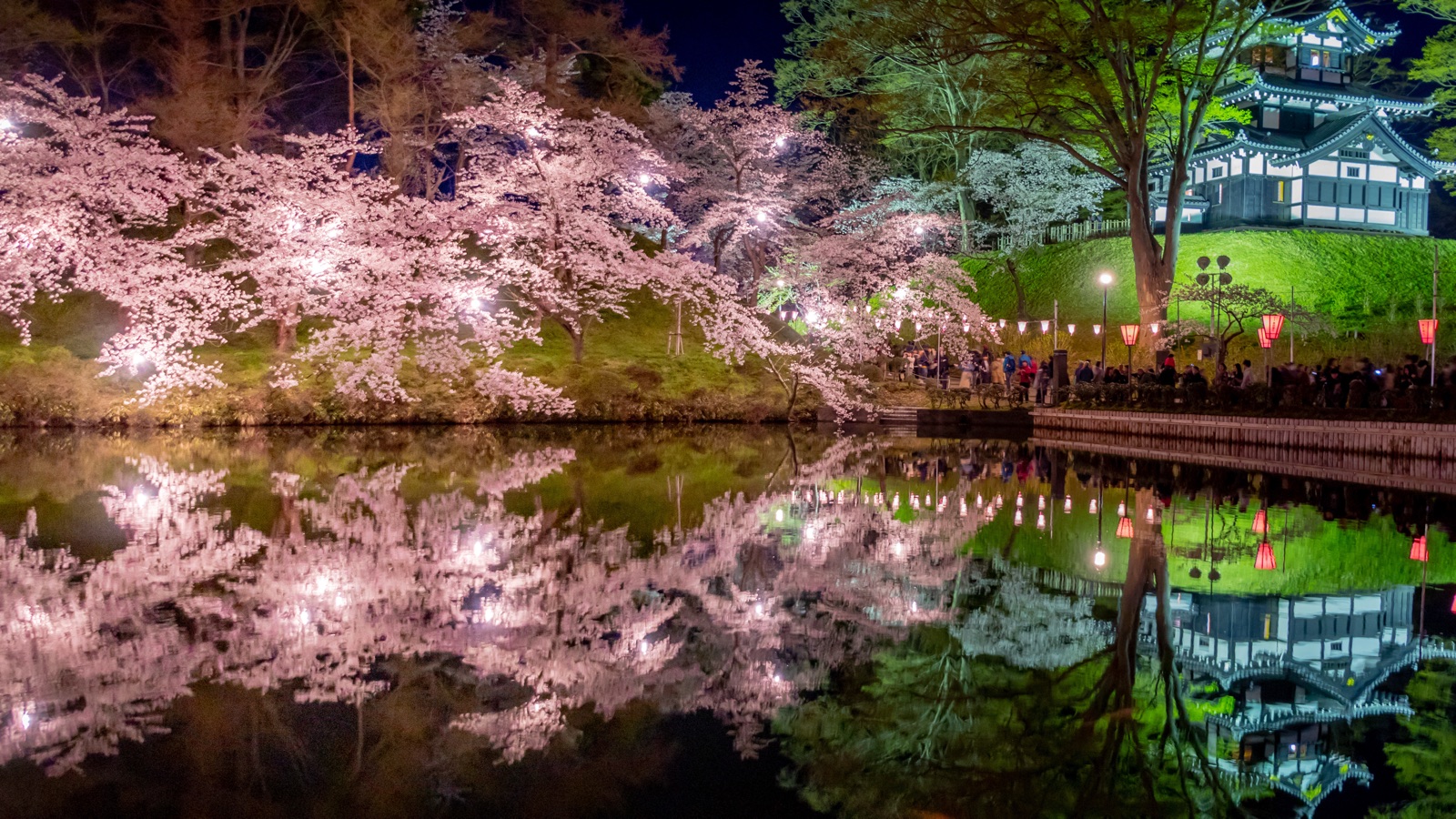 高田公園夜櫻 水鏡中的城與花（新潟県）