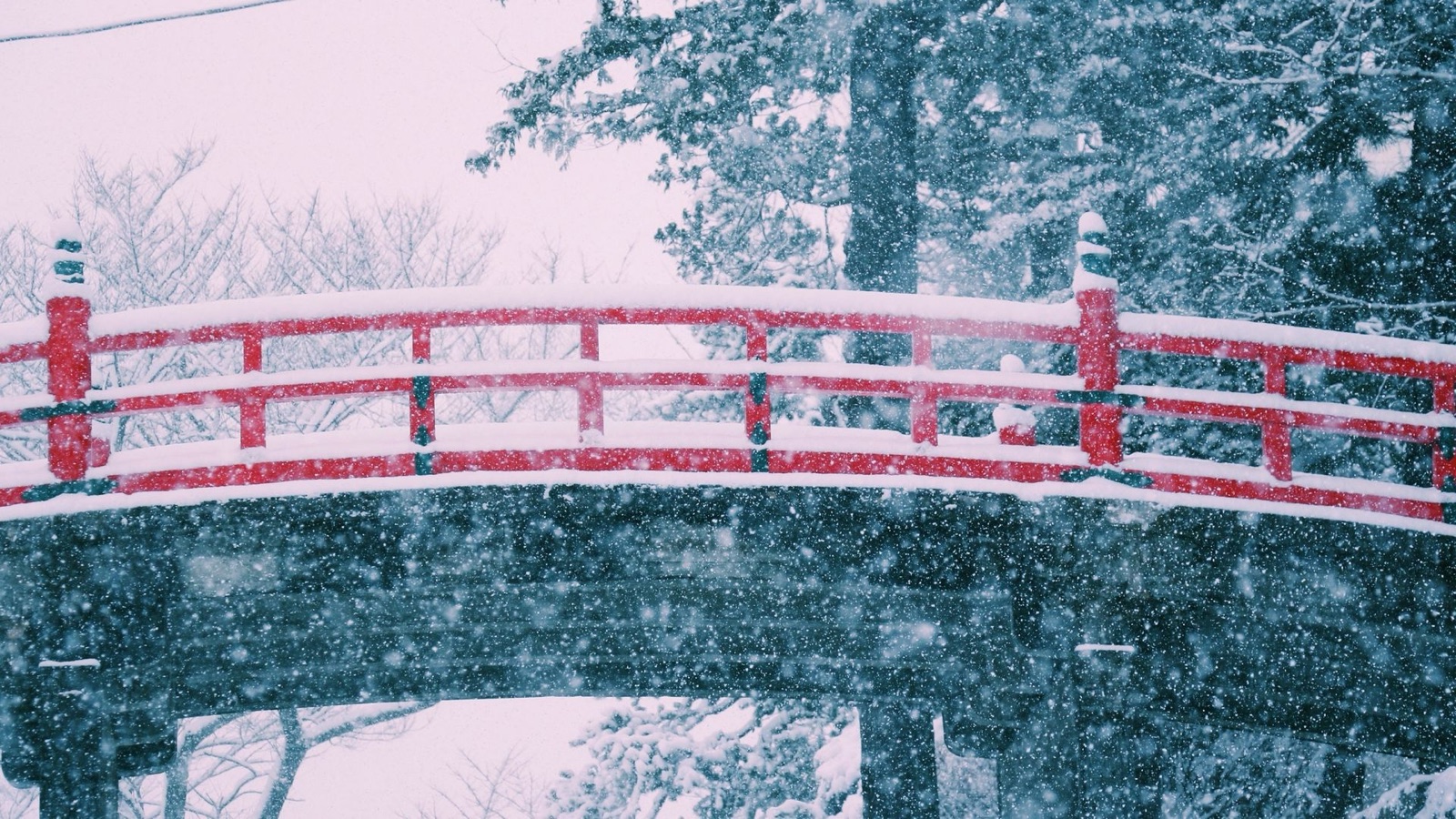 雪天：岩手縣的靜謐時刻（岩手県）