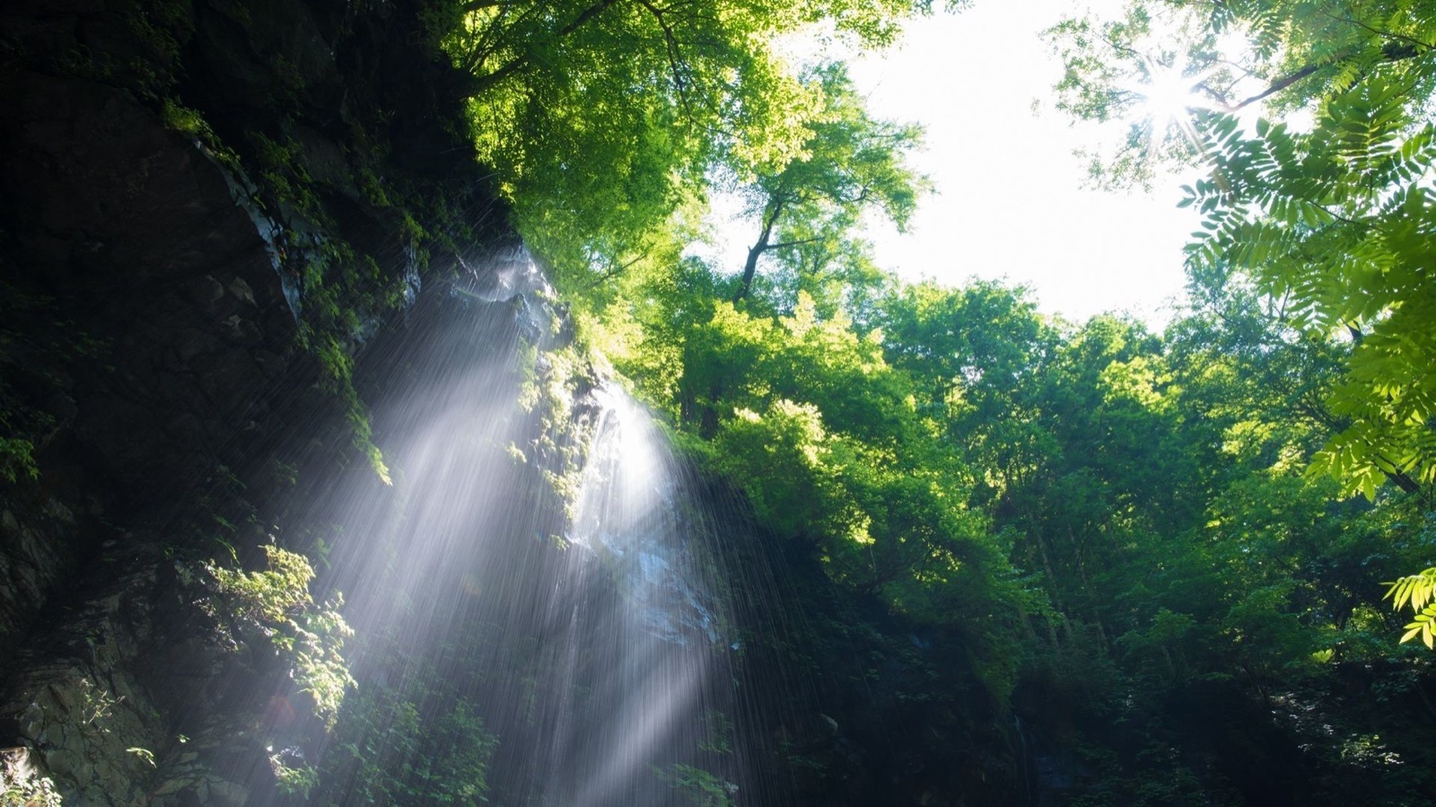 栃木縣斯卡坎澤的靜謐風景（栃木県）