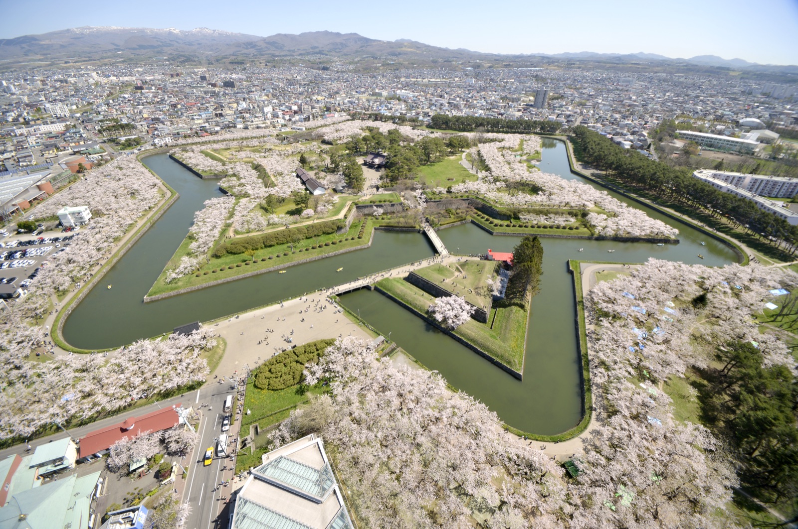 櫻花五稜郭（北海道）