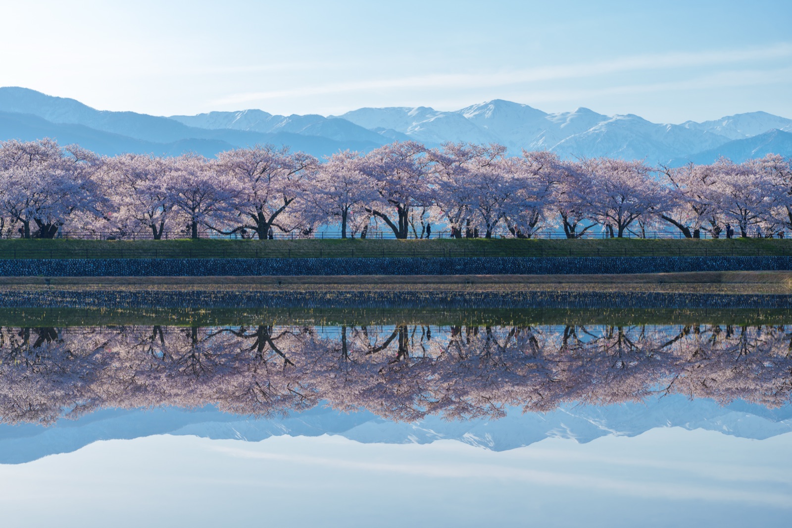 舟川河畔的寧靜時刻（富山県）