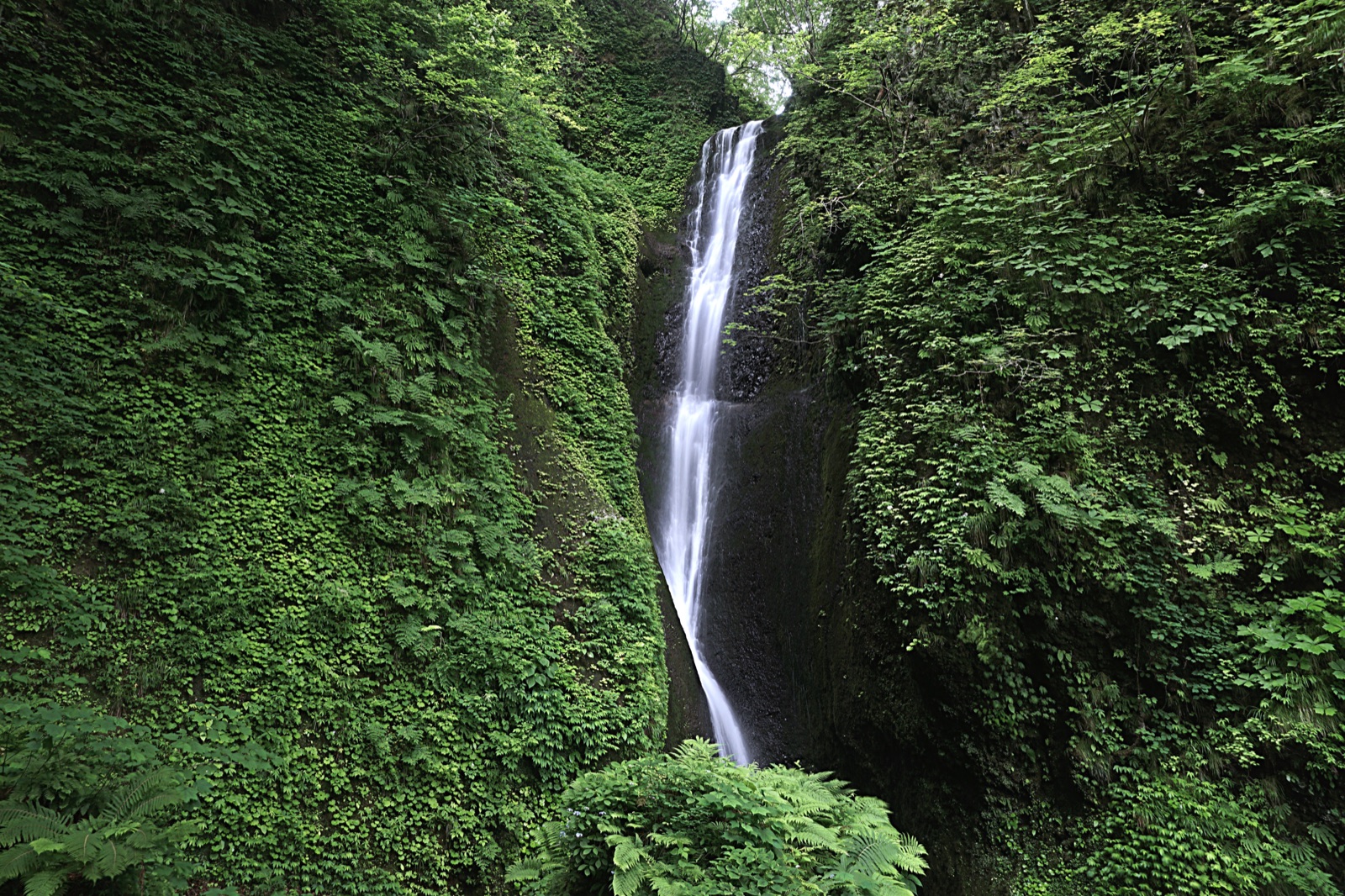 桂之瀑布（兵庫県）