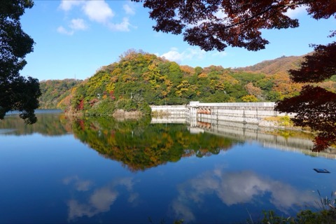 兵庫 烏原貯水池 紅葉中的立ヶ畑堰堤（Toru 攝）