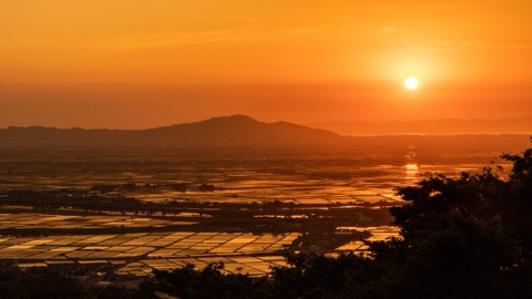 新潟越後平野夕照 水田映紅天地（新潟縣）