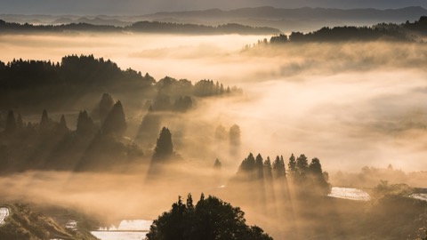新潟星峠 沐浴晨曦的金色雲海（新潟縣）
