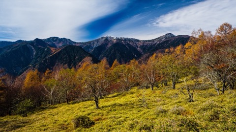 夜叉神峠：白峰三山的眺望點（山梨縣）