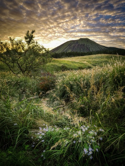 熊本 阿蘇杵島岳 登山道上的秋日視角（熊本縣）